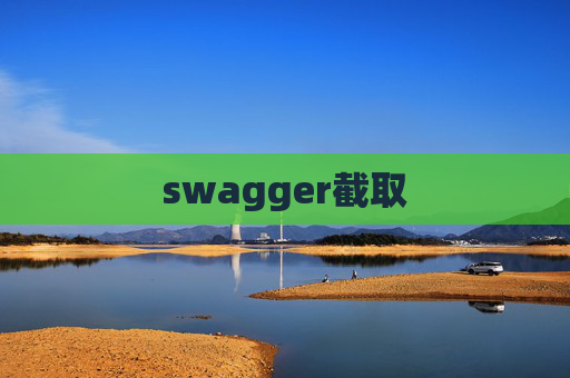 swagger截取