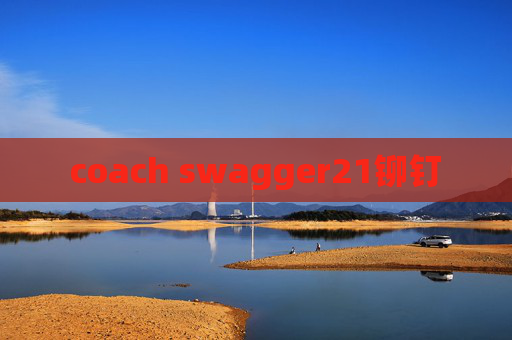 coach swagger21铆钉